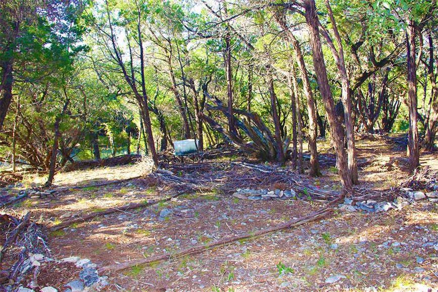 Austin Texas Landscaping Cedar With Art